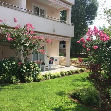 Apartment - 1